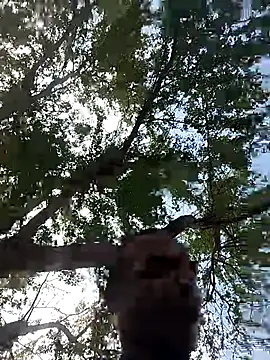 Andreskelly online show from 03/17/26, 03:15