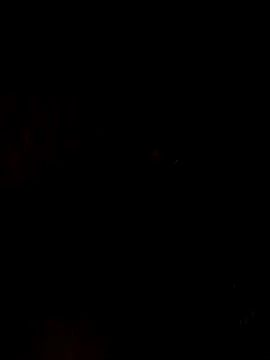 Snapshot of nehakapoor89 chatting on 12/14/25, 07:40 nehakapoor89 online show from 12/14/25, 07:40