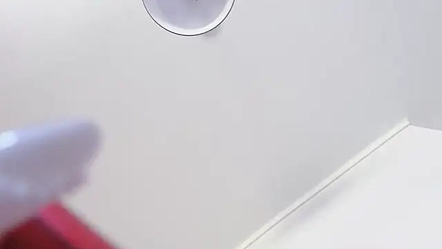 Snapshot of cici-r0 chatting on 02/14/26, 12:13 cici-r0 online show from 02/14/26, 12:13