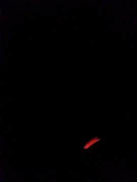 Snapshot of leobct555 chatting on 03/22/26, 03:10 leobct555 online show from 03/22/26, 03:10