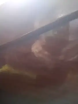 neko-nancy online show from 02/13/26, 02:24