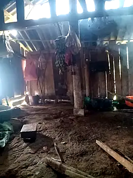 little-effy online show from 03/23/26, 04:27