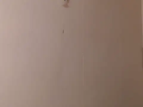 camelastarsairo online show from 03/31/26, 09:37