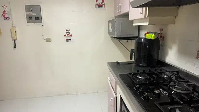 toritoga online show from 04/20/26, 03:37