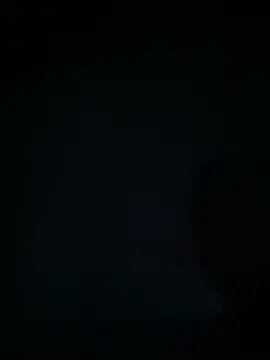 marcoboss online show from 12/20/25, 03:30