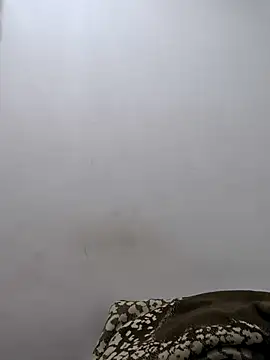 twinkarabboy online show from 02/17/26, 11:29