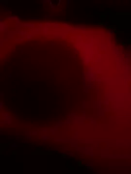 DaveeeIsTheone online show from 02/15/26, 08:02