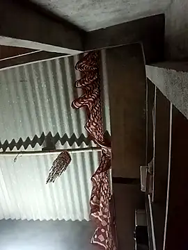 Shreya pandit online show from 03/10/26, 10:59