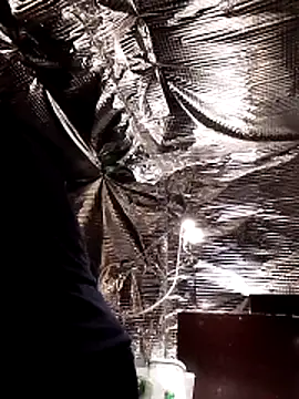 Quebec46 online show from 02/20/26, 10:10