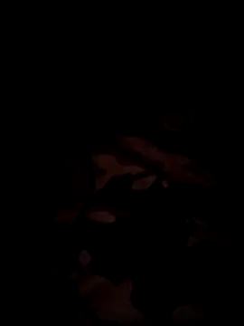 bnglrboy0886 online show from 12/17/25, 07:31