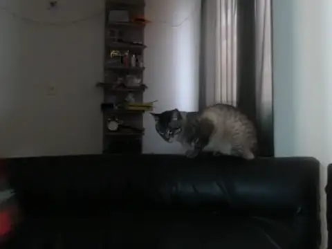 BeautyYoungblond online show from 02/03/26, 10:26