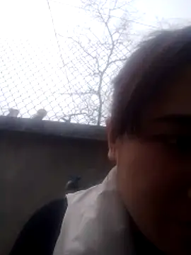 Belinda-686 online show from 02/12/26, 07:36