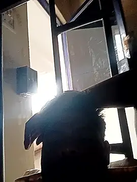 Anji8639 online show from 04/19/26, 11:53