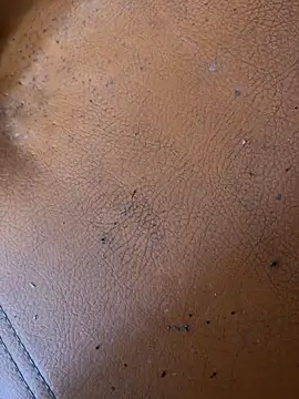 solecito sex  online show from 06/02/26, 04:42
