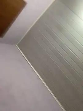 GuioficialBr online show from 03/29/26, 07:30