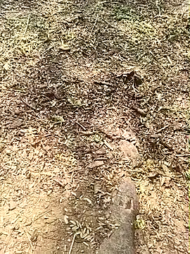 Sheela Sex90 online show from 05/10/26, 04:17