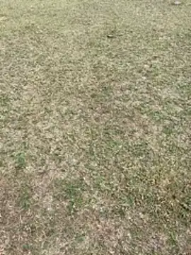 Tamilpaiyan07 online show from 02/01/26, 03:49