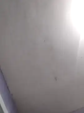 vanNe78 online show from 02/28/26, 08:10