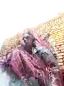 Rakhi cut online show from 01/12/26, 03:01