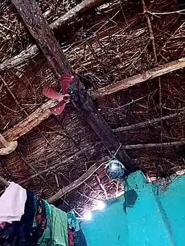 Snapshot of Rajni_hote chatting on 02/13/26, 05:14 Rajni hote online show from 02/13/26, 05:14