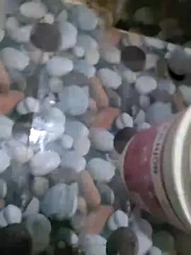 hydhunk26 online show from 03/08/26, 05:50