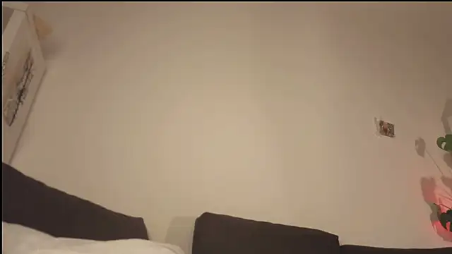 poli blink online show from 04/22/26, 12:13