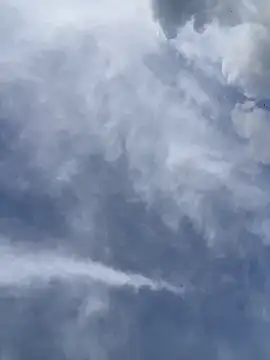 Ema Rose  online show from 04/18/26, 09:48