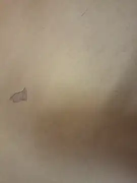 Snapshot of yourburget chatting on 02/19/26, 02:24 yourburget online show from 02/19/26, 02:24