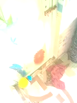 Hooghlypinkivabi online show from 01/10/26, 07:32