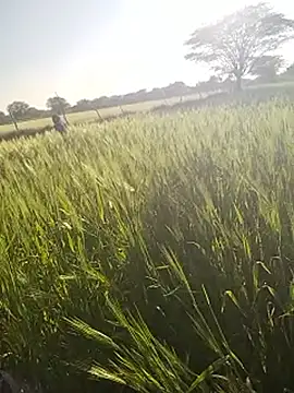 hornycouple20000 online show from 01/14/26, 11:05