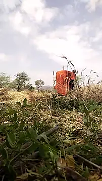 hornycouple20000 online show from 03/19/26, 06:50