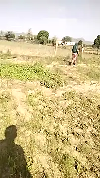 hornycouple20000 online show from 04/10/26, 03:34