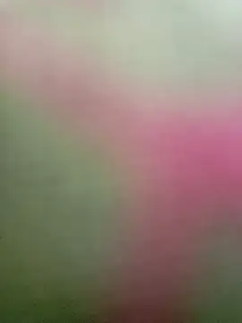 Dariralf online show from 01/16/26, 12:42