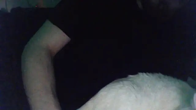 KaelNox online show from 03/31/26, 11:38