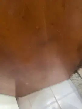 jeanramon01 online show from 03/20/26, 07:30