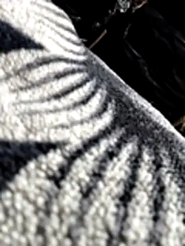 Bhavna8080 online show from 02/20/26, 08:20