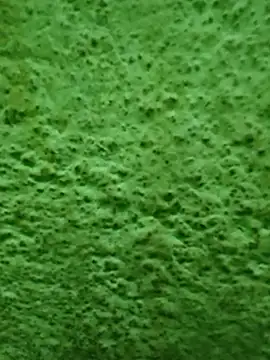 Pagelboy 089 online show from 04/08/26, 11:59