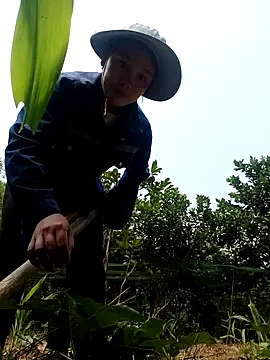 vanvan005 online show from 04/08/26, 03:17