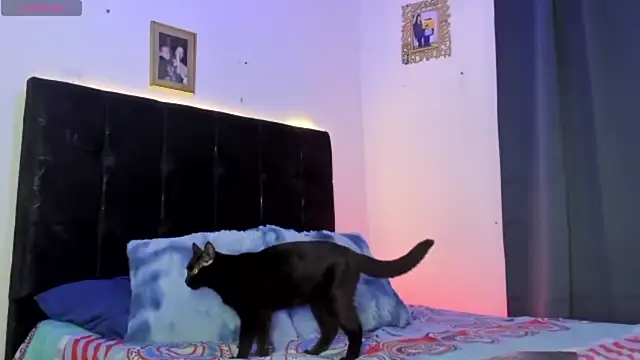 HotboyLyan online show from 04/24/26, 03:09