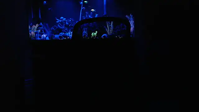 EspanolVato online show from 02/15/26, 09:30