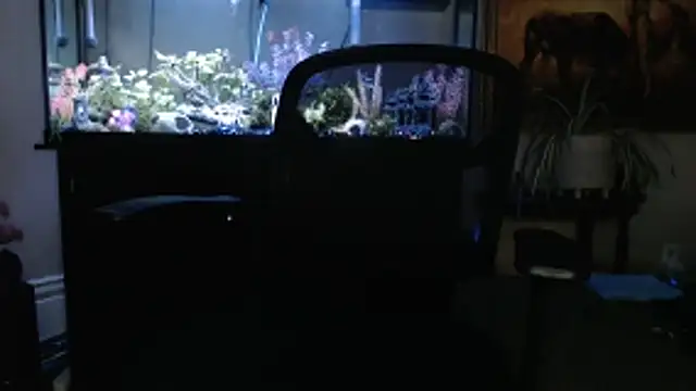 EspanolVato online show from 03/05/26, 11:45