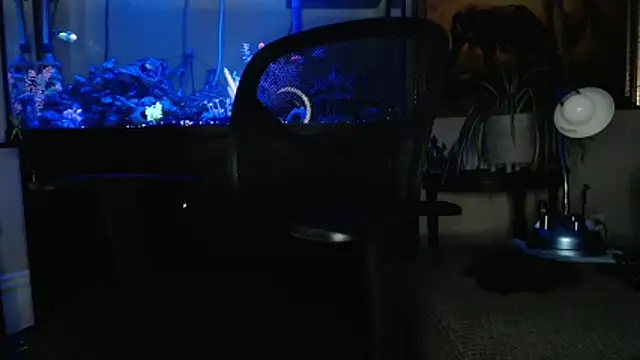 EspanolVato online show from 03/18/26, 09:12