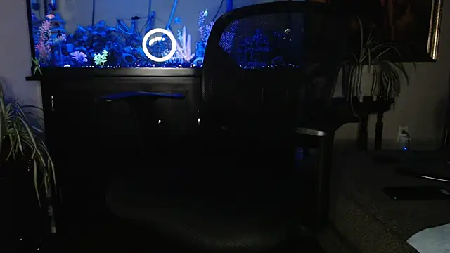 EspanolVato online show from 04/17/26, 08:50