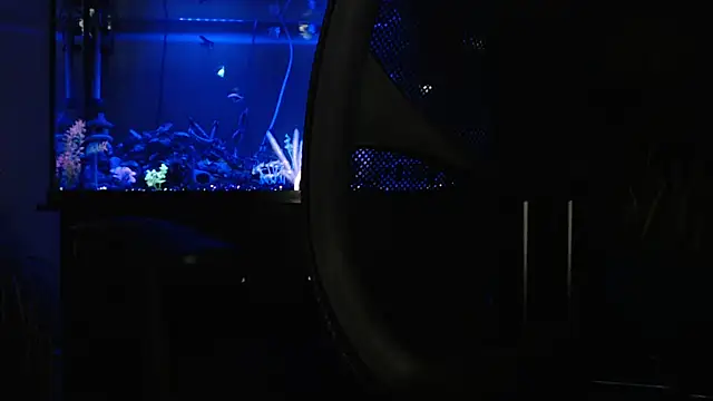 EspanolVato online show from 04/18/26, 09:24