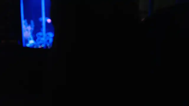 EspanolVato online show from 07/10/26, 11:13
