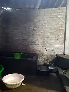 him220 online show from 04/20/26, 12:24