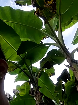 Snapshot of Wild_and_Sweets chatting on 01/11/26, 07:52 Wild and Sweets online show from 01/11/26, 07:52