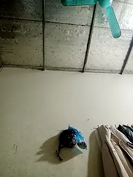 Sana-vn online show from 01/15/26, 01:48