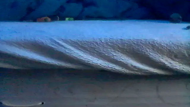 Silencio26 online show from 04/19/26, 06:10