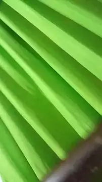 saray reesee online show from 02/28/26, 04:24